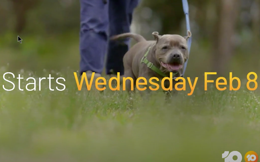 Air Date The Dog House Australia returns to 10 on Wednesday 8