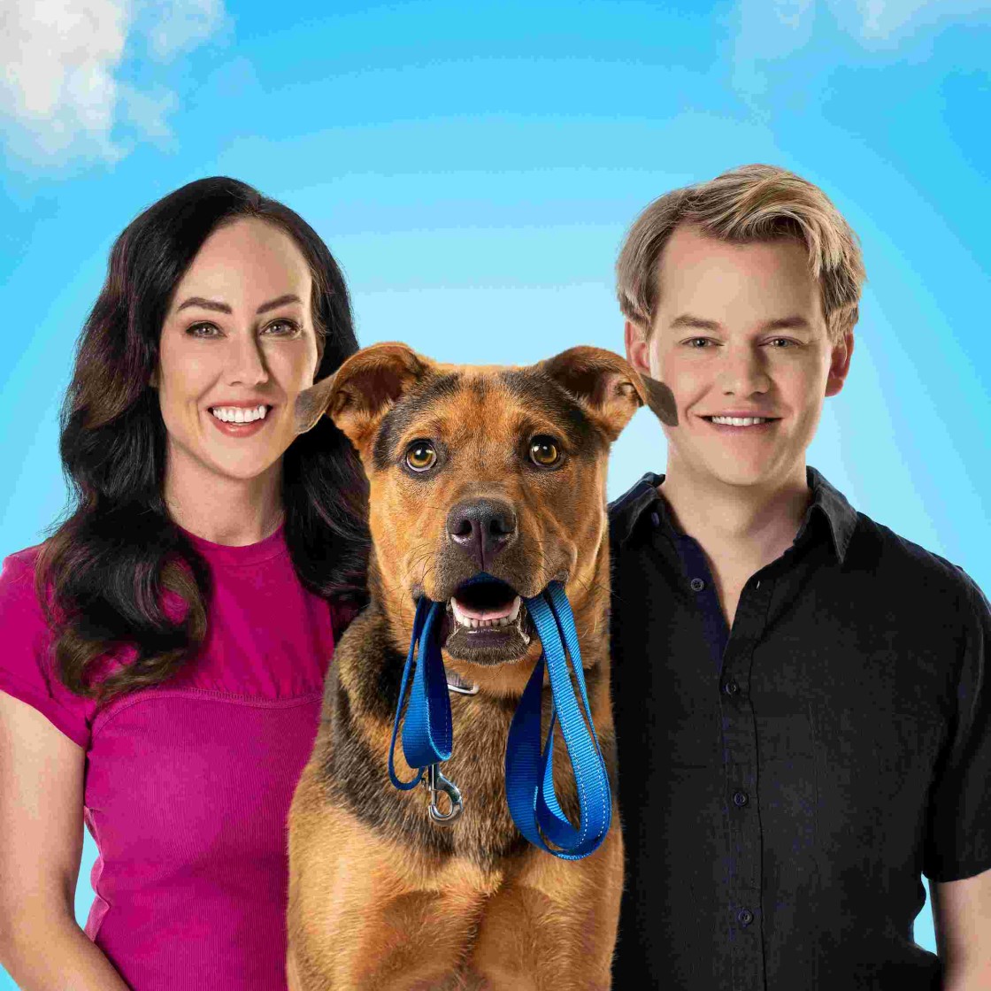 Tonight New Leash on Life on ABC TV and ABC iview TV Central