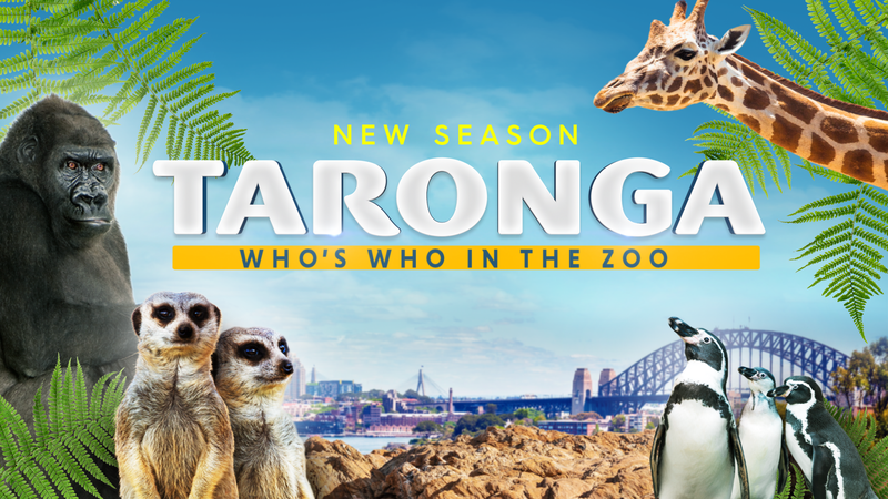 Taronga: Who's Who in the Zoo on Channel 9