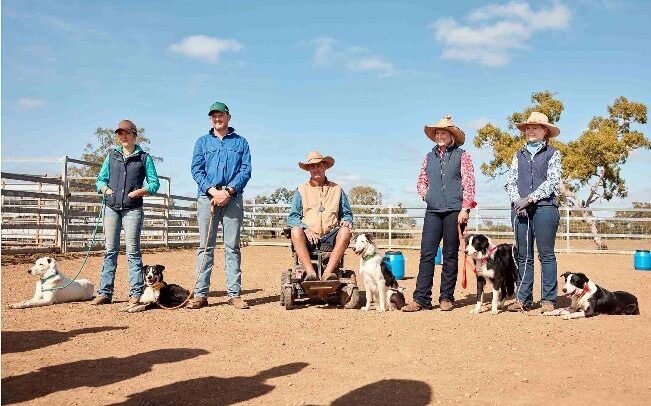 Muster Dogs on ABC