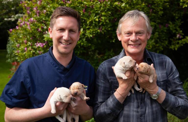 The Secret World Of Guide Dogs With Martin Clunes on SBS