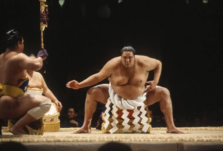 The Giants: From Hawaii To Sumo Legends on SBS and SBS Viceland