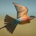Airborne: Nature In Our Skies on 10 starts 2 April